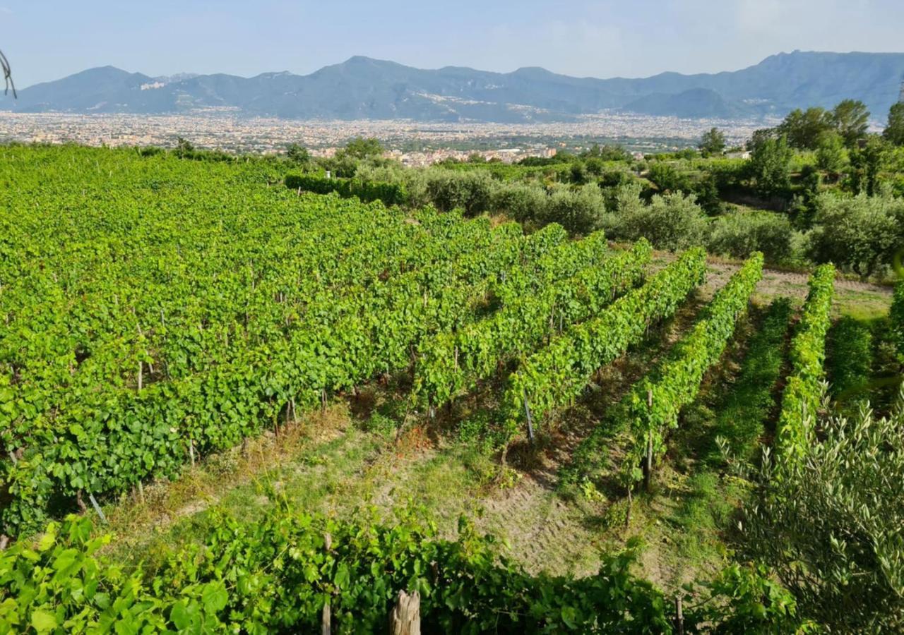Vesuvio Inn Bed & Wine Experience Boscotrecase Dış mekan fotoğraf