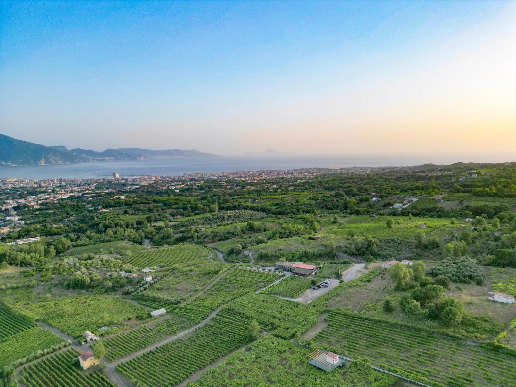 Vesuvio Inn Bed & Wine Experience Boscotrecase Dış mekan fotoğraf