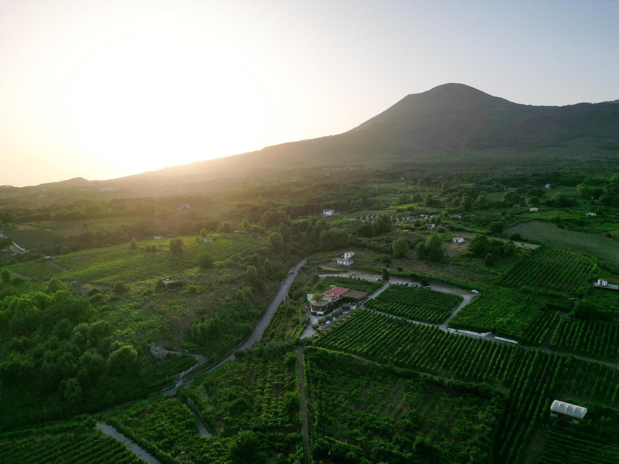 Vesuvio Inn Bed & Wine Experience Boscotrecase Dış mekan fotoğraf