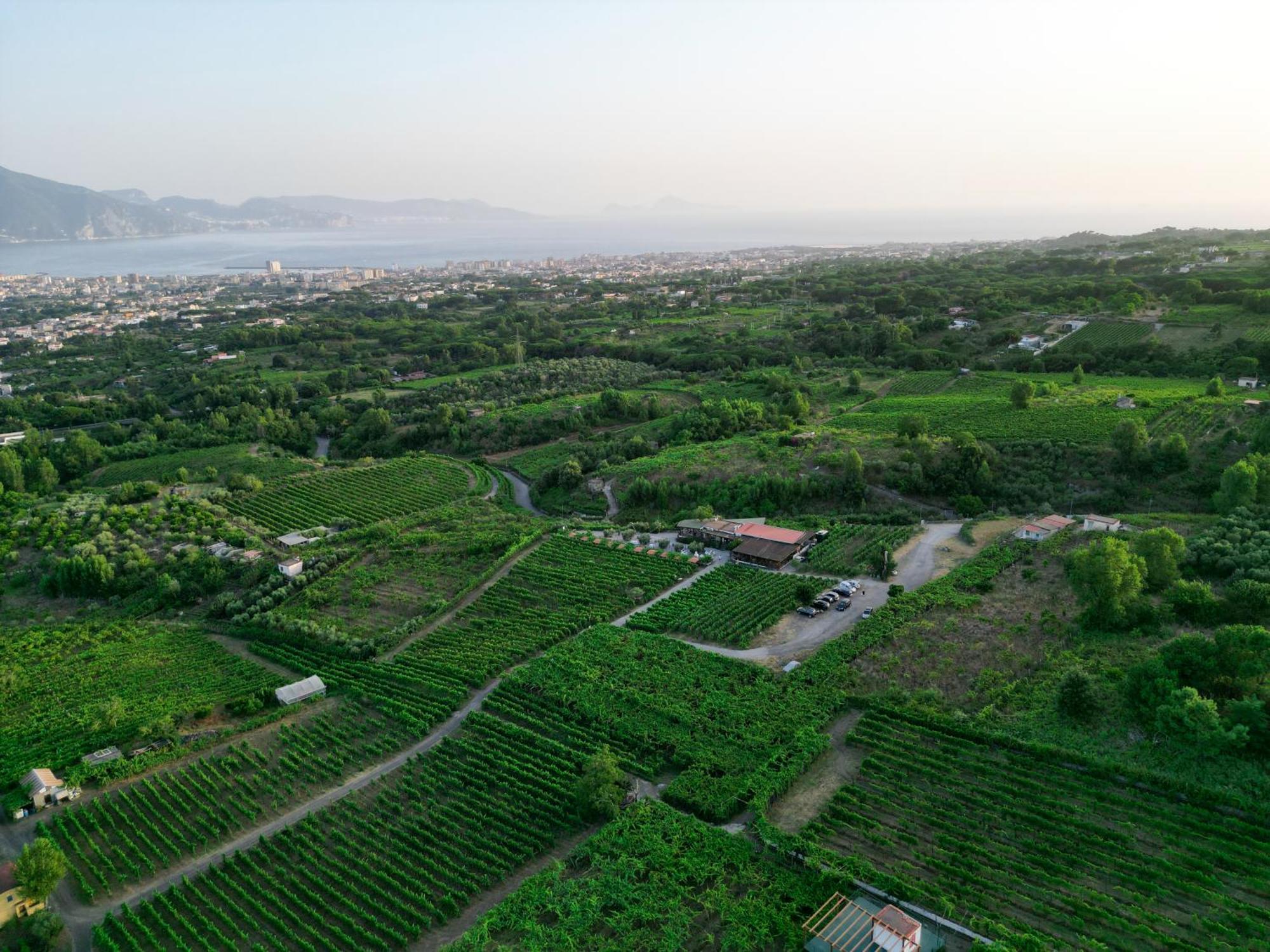 Vesuvio Inn Bed & Wine Experience Boscotrecase Dış mekan fotoğraf