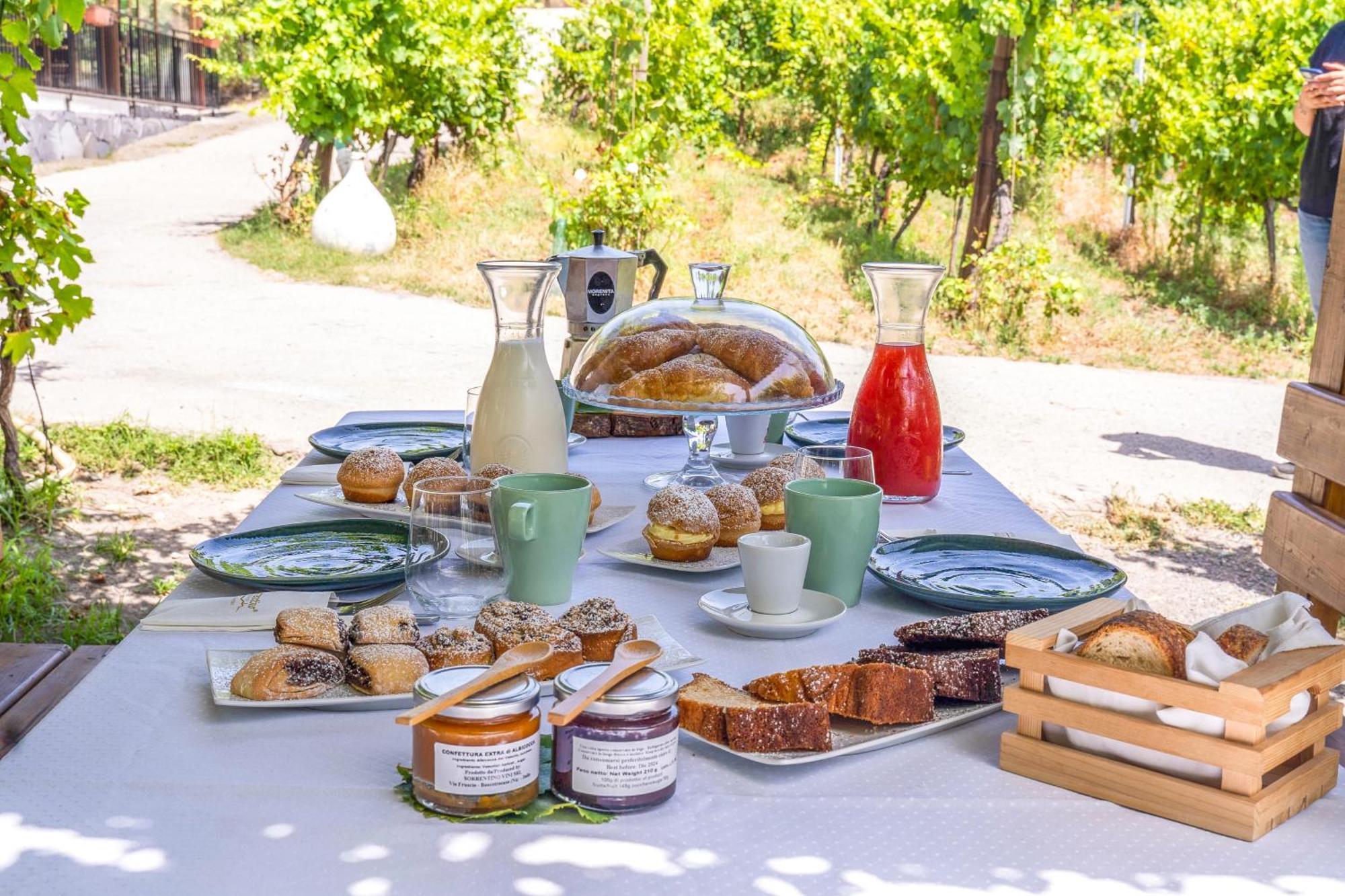 Vesuvio Inn Bed & Wine Experience Boscotrecase Dış mekan fotoğraf