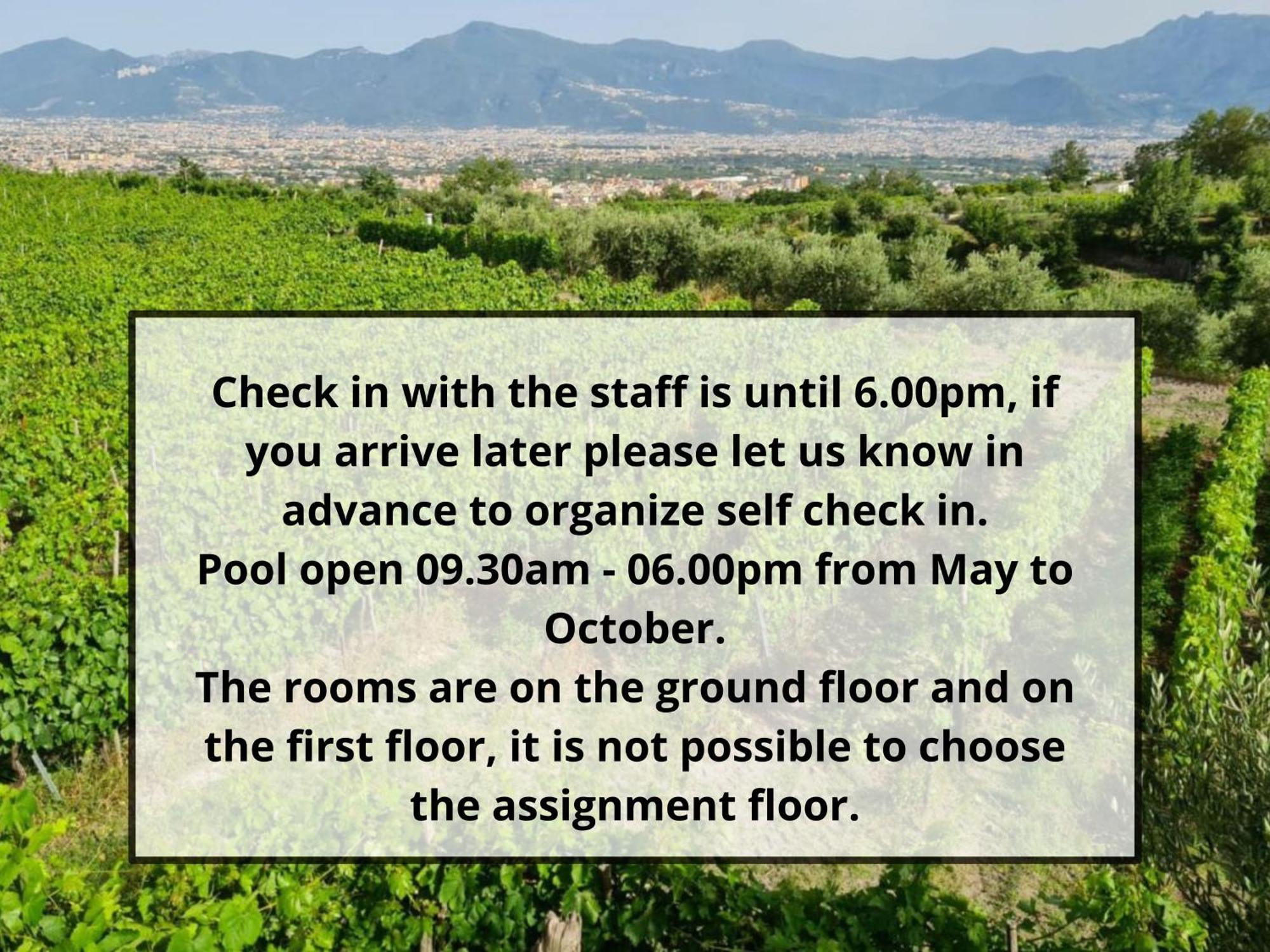 Vesuvio Inn Bed & Wine Experience Boscotrecase Dış mekan fotoğraf