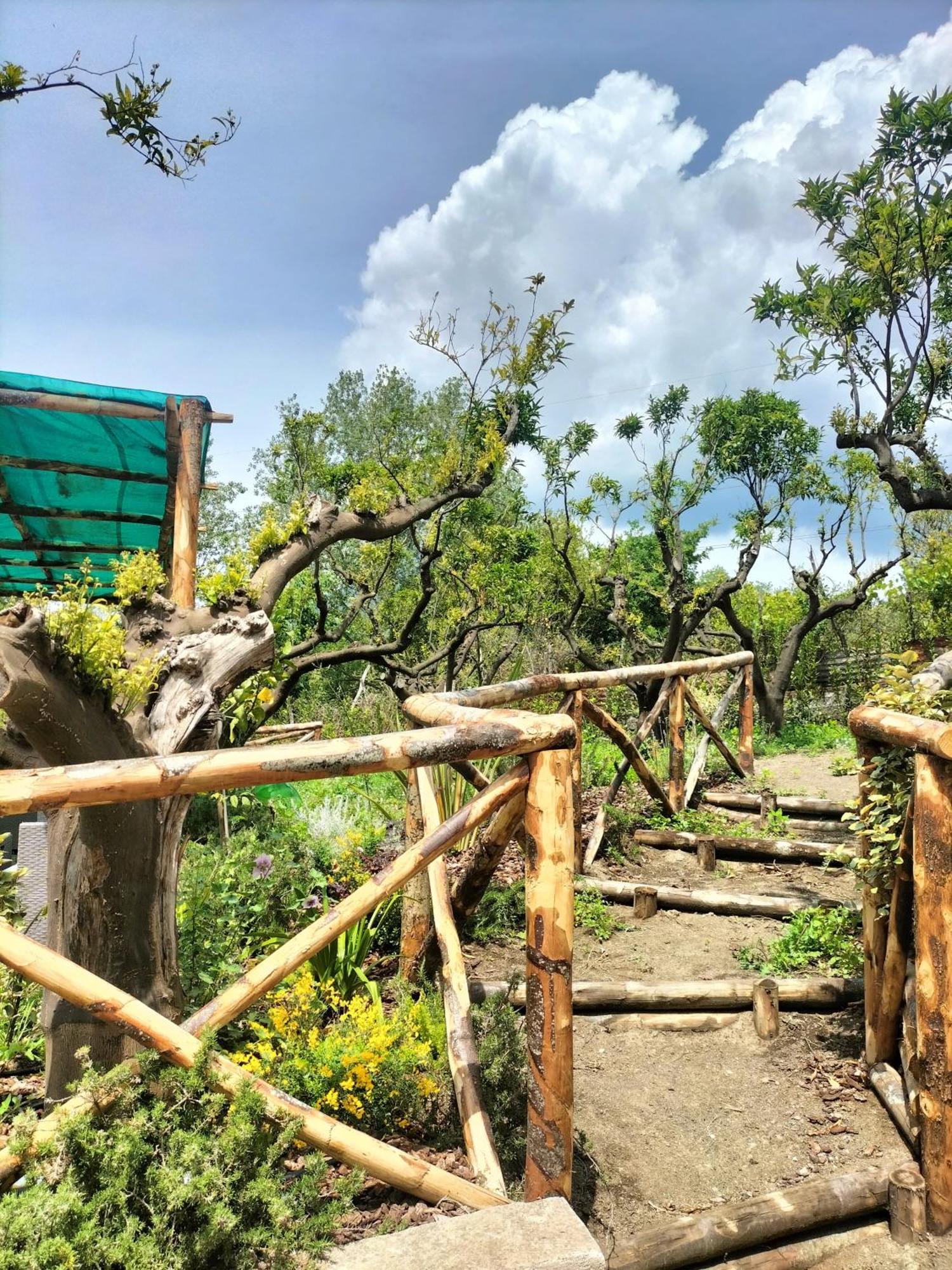 Vesuvio Inn Bed & Wine Experience Boscotrecase Dış mekan fotoğraf
