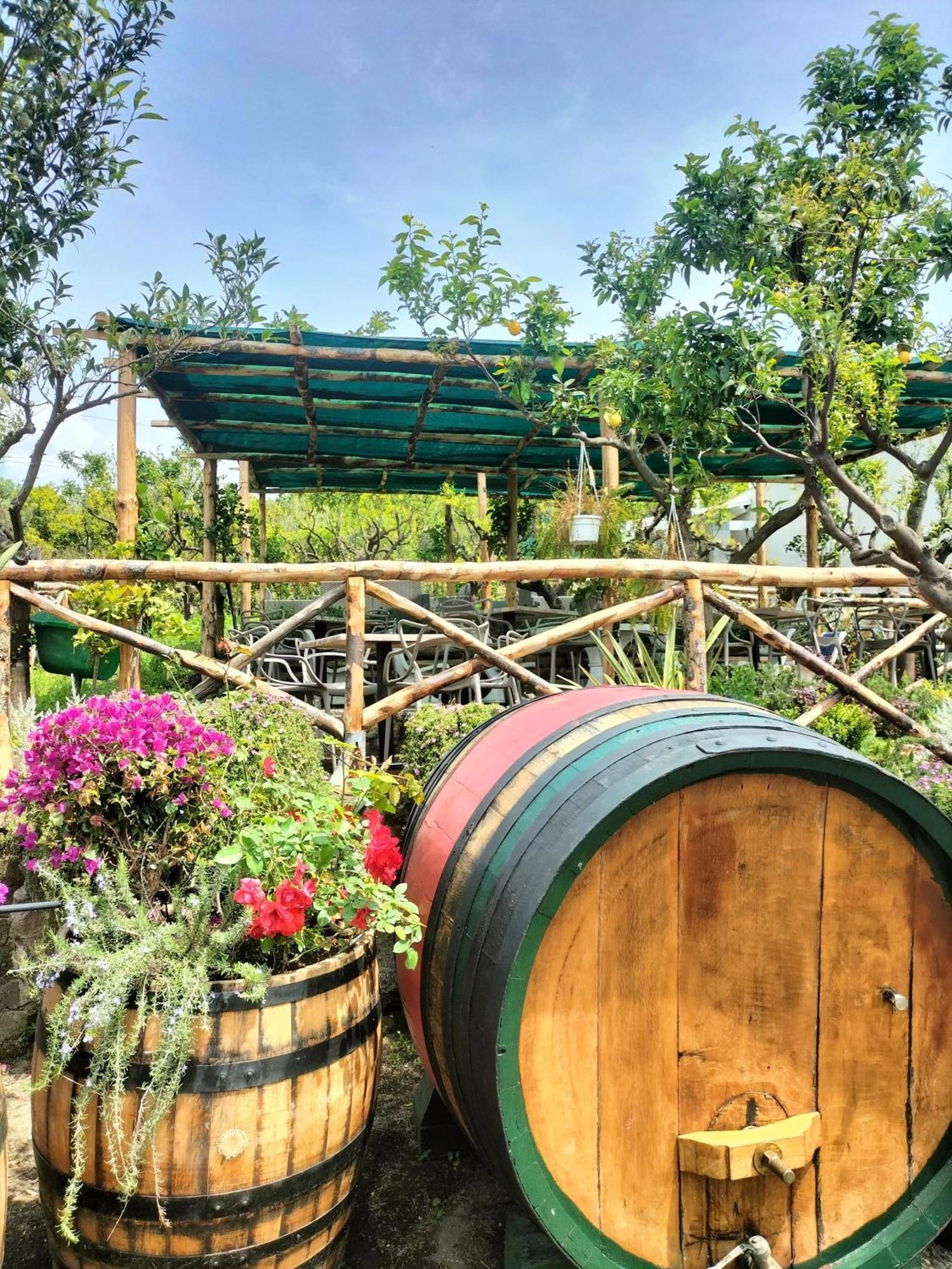 Vesuvio Inn Bed & Wine Experience Boscotrecase Dış mekan fotoğraf