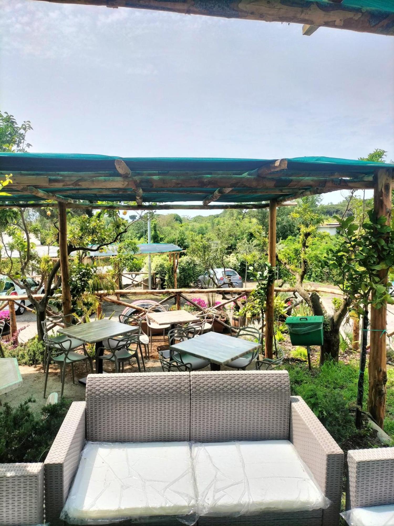 Vesuvio Inn Bed & Wine Experience Boscotrecase Dış mekan fotoğraf